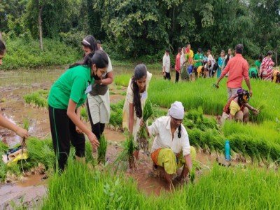 children_working_in_rice_fields4 (1)